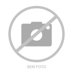 PIPOQUEIRA PIC POC 5,5 L 22X15 - VD - BRINOX